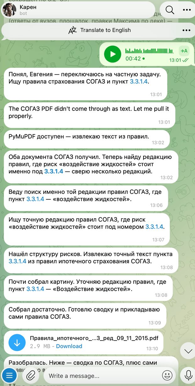 Голосом спросила, как Карен может помочь в ситуации с потопом